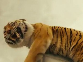 Life of Pi - First short clip