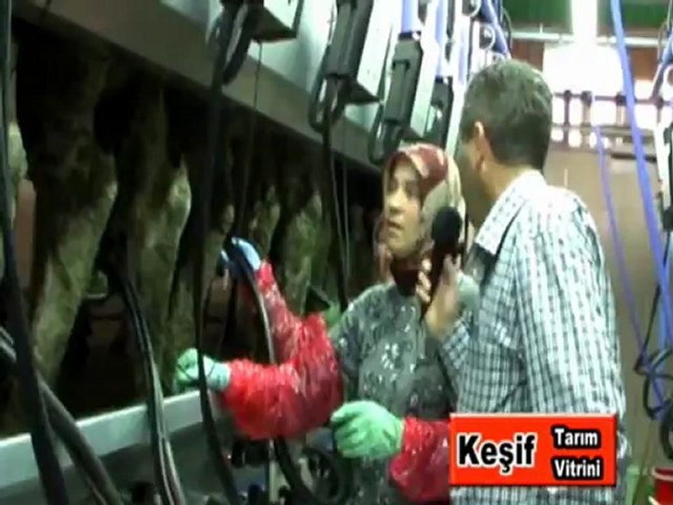 büyükbaşhayvan-sağımünitesi-