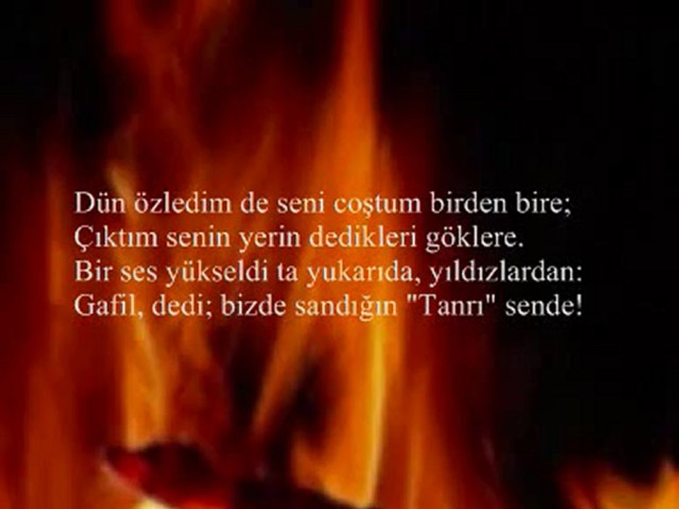 Hayyam