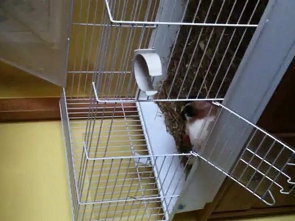 Moka appelle ses potes