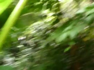 Perdu sur une île deserte