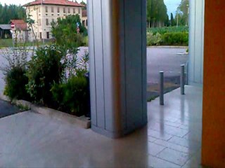 Parodia rapper / hip hop (D&M)