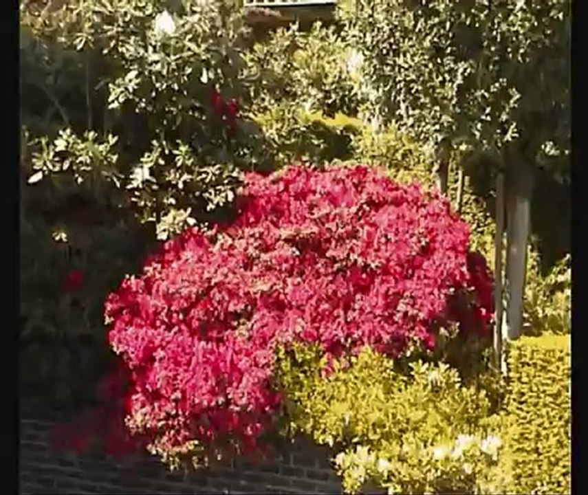 Mocht je eens weten wat ik voor je voel! Bruno Pinkhof