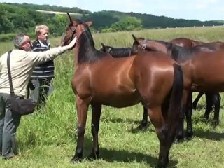BINGO ET BOLERO DU LYS 2 PRODUITS DE GRANDE QUALITE