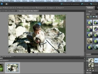 Adobe Photoshop Elements 10 : Effets Lomo et Orton