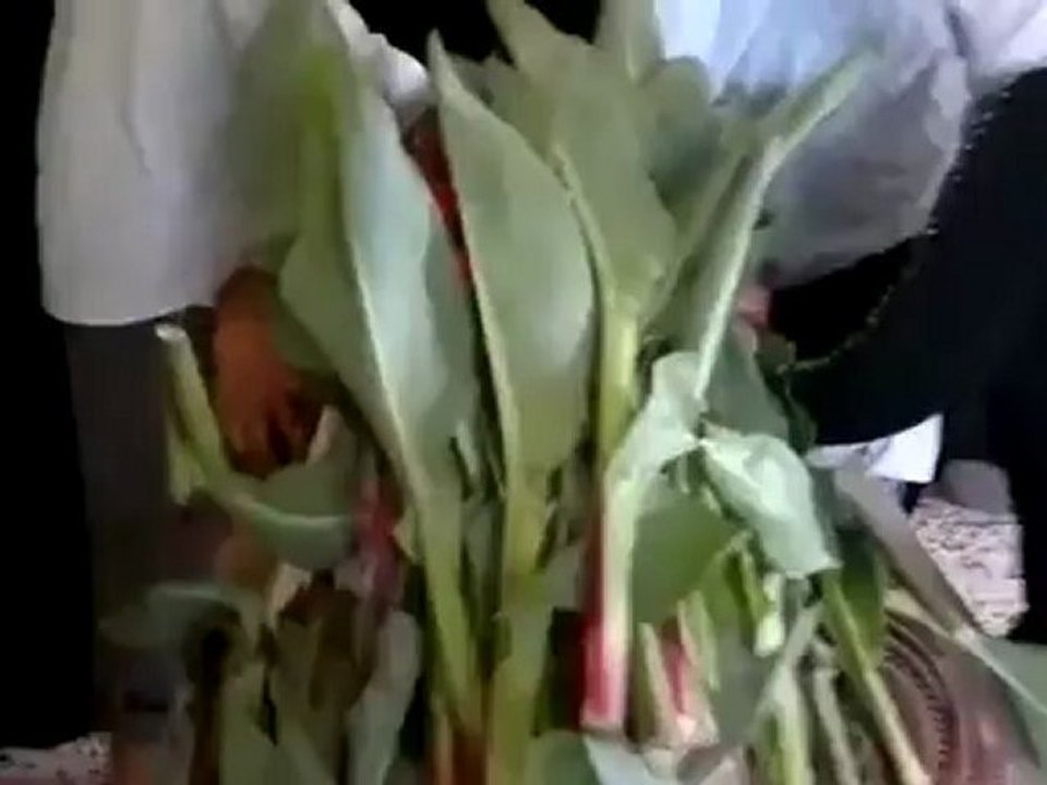 Syria فري برس  حمص الرستن الشهيد البطل الإعلامي بسيم درويش 15 6 2012 Homs