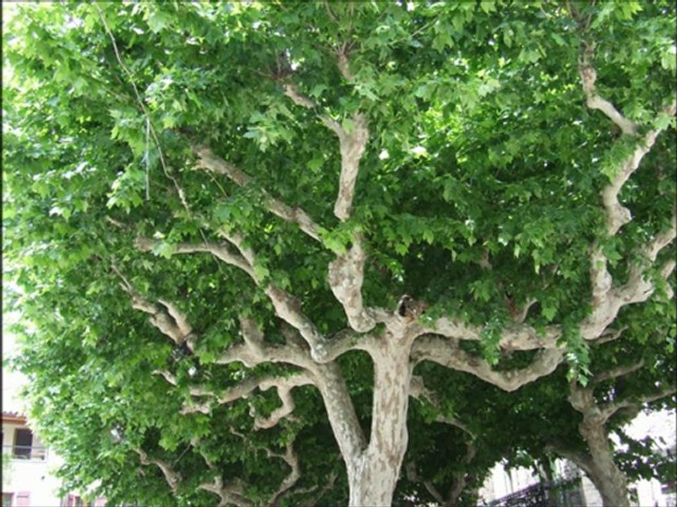 aigueze (GARD) le 27 mai 2012