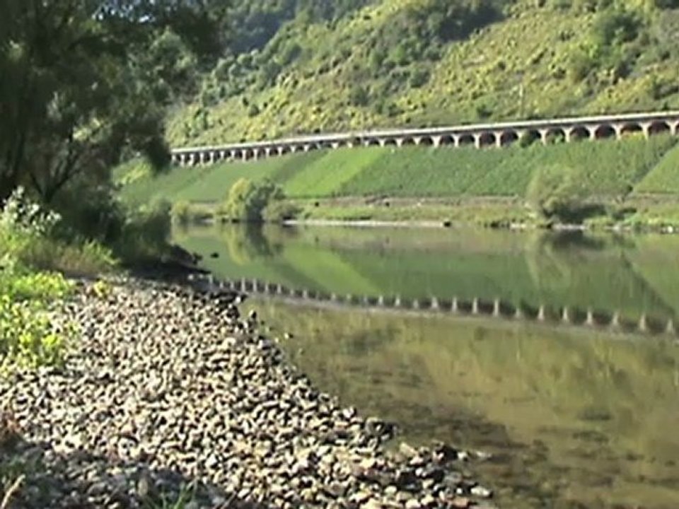 Eisenbahnverkehr und stille Natur in Pünderich an der Mosel