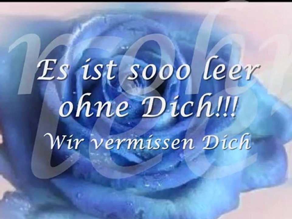 Schon 2Jahre ohne Robbi