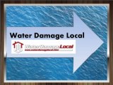 Water Extraction - Houston. TX - Water Damage Local dm