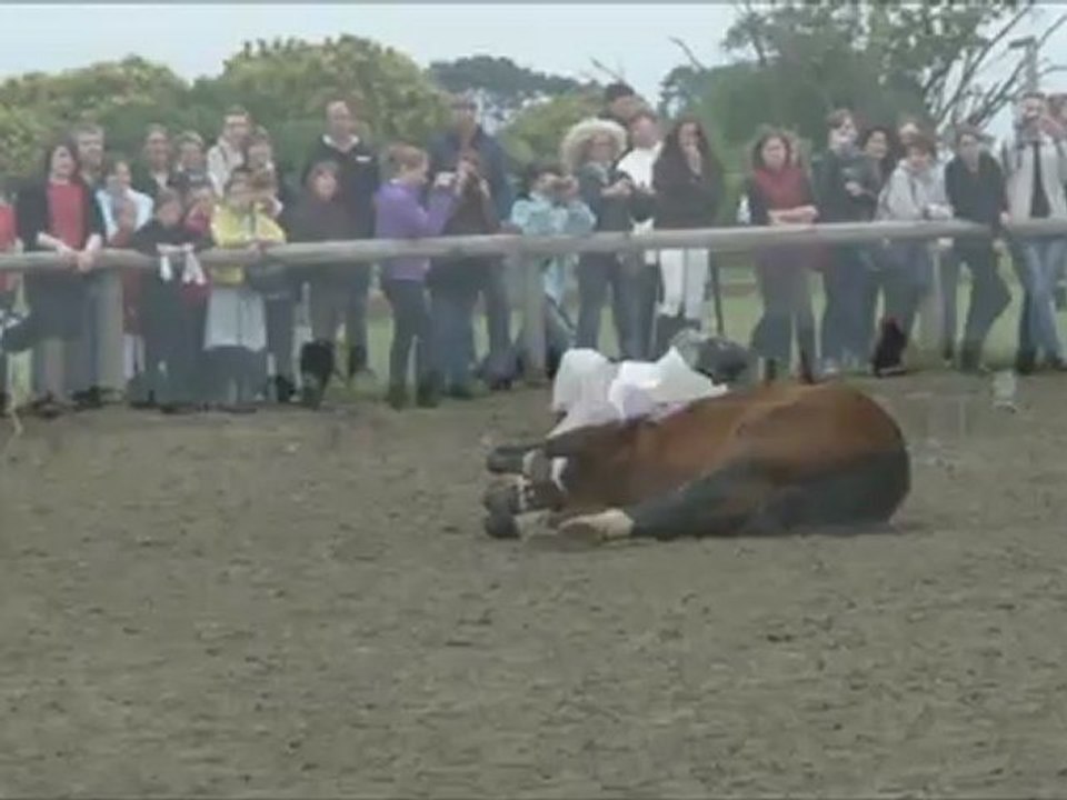 Carrousel 2011