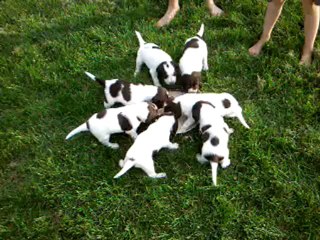 video-2012-06-16-19-59-44