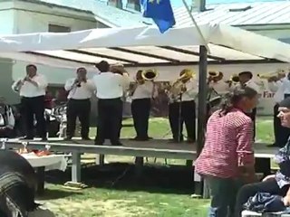 FANFARA TRANSILVANIA-cosmesti 2012 festivalul international al fanfarelor 8