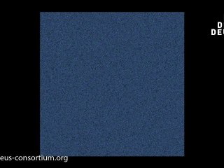 DEUS Full Universe Run - Inside present dark matter distribution