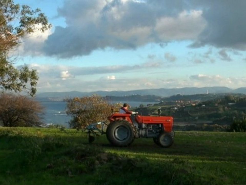 Parque de Santa Ana en Luanco, Asturias