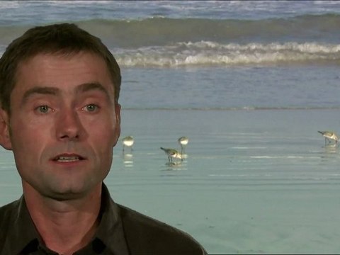 Paroles d'aires marines : Emmanuel CAILLOT