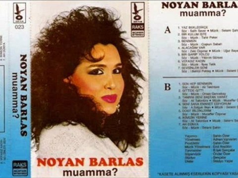 Noyan Barlas - Sevsinler Seni