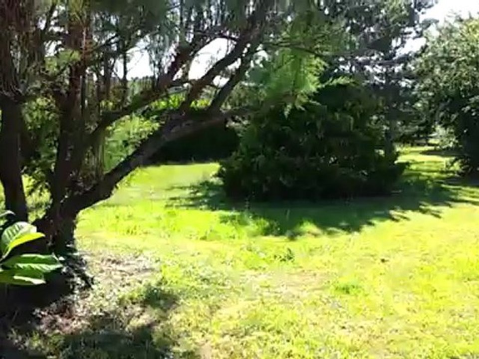 Propriété 270m2 terrain 3150m2 930.000€