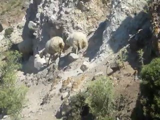 Gökçeeda Gezisi 9-10 Haziran 2012