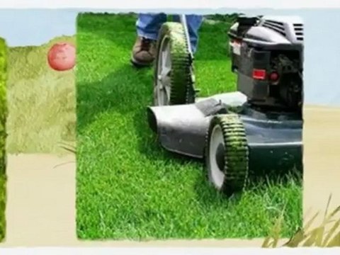 Green Thumb Lawn & Landscaping - (301) 814-7535