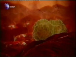 Virus y bacterias: Respuesta inmunologica