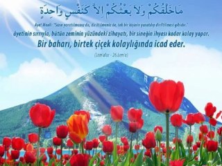 Dinle Neyden Sukun Huzur