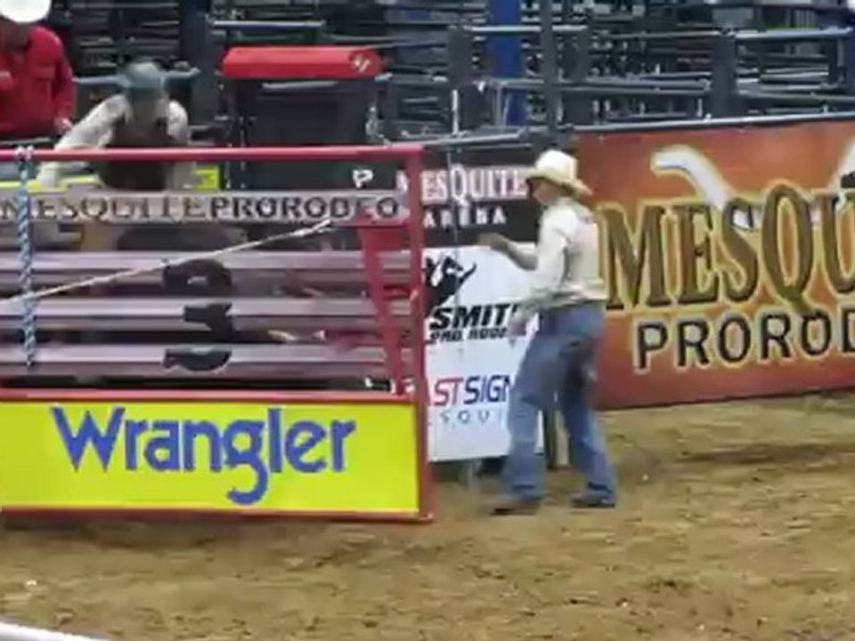 Rodeo taureau