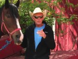 Horseback Riding Ottawa - How can I introduce my young child to horseback riding and pony riding?