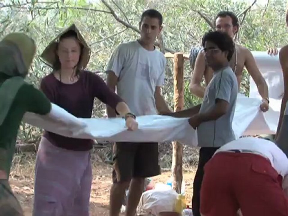 Sadhana Forest, une fôret pour grandir