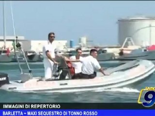 Barletta | Maxi sequestro di tonno rosso