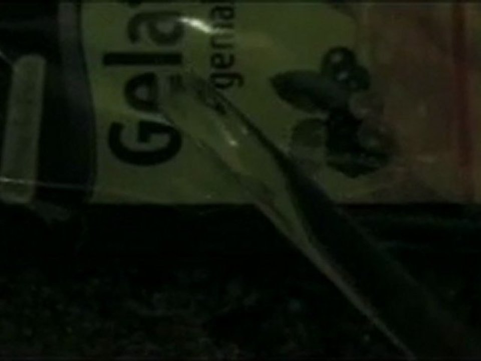 Tribolumineszenz zinksulfid mangan 2