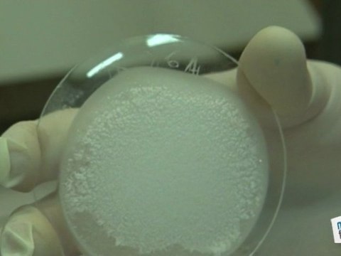 Expérience Chimique: la sublimation du camphre