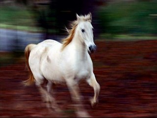 can't take My eyes of off you