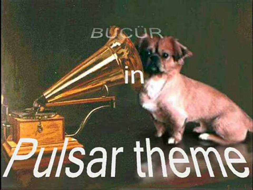 BÜCÜR