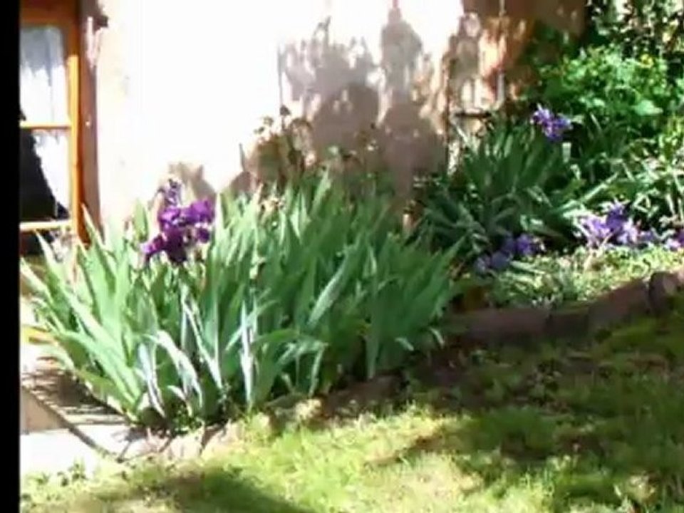 Gite avec piscine aveyron l'Oustal de Saint-Juéry  Juin 2012