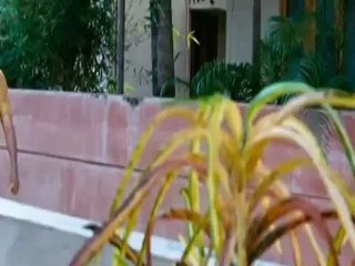 Ee Aadutha Kaalath(2012)malayalam,_clip3