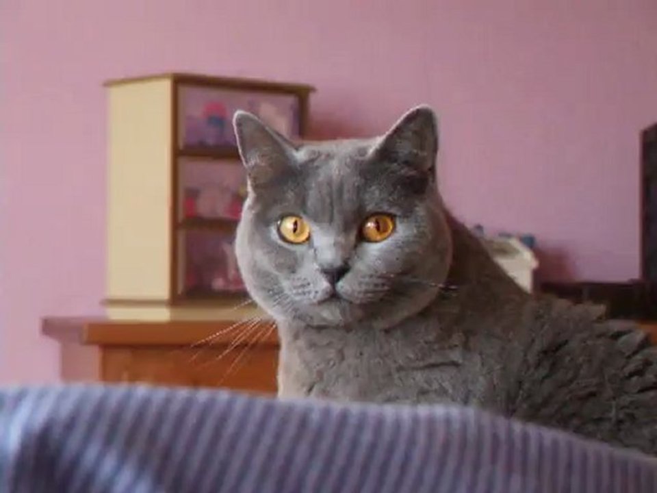 Réveil matin