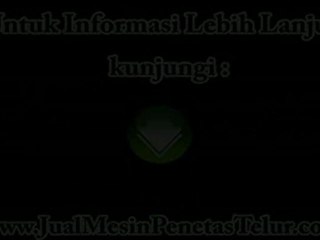 Jual Mesin Penetas Telur Tipe C 75 | SMS : 081 945 772 773