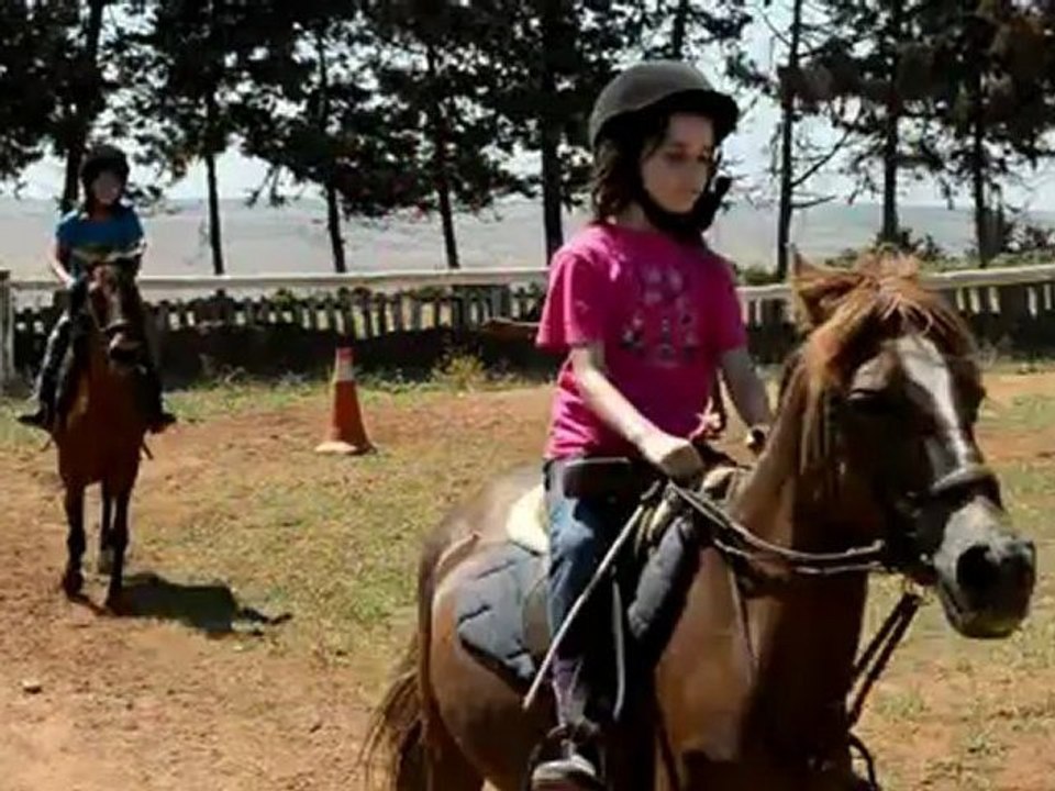 Cheval à Sale Eljadida