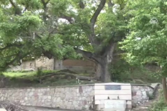 Mektup sayesinde ilgi odağı oldu