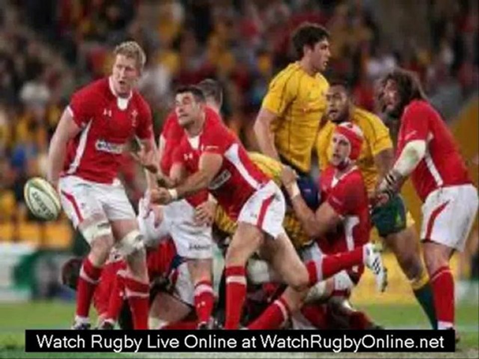 rugby union online