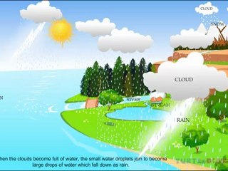 Water Cycle