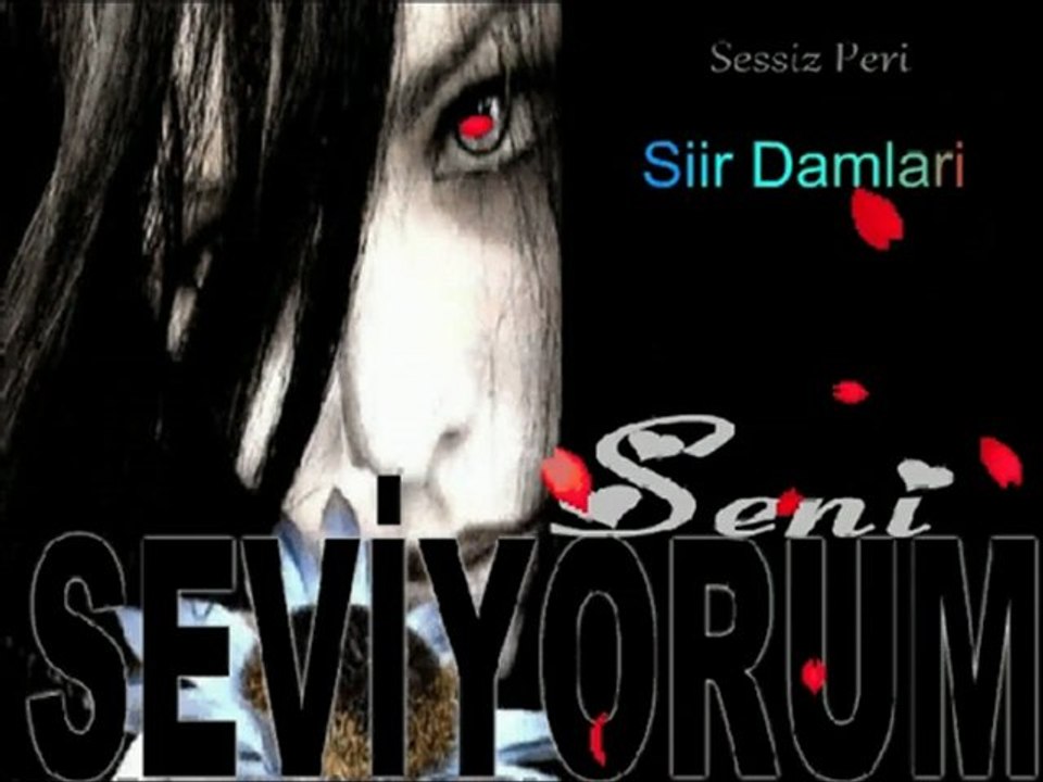 Seni Seviyorum