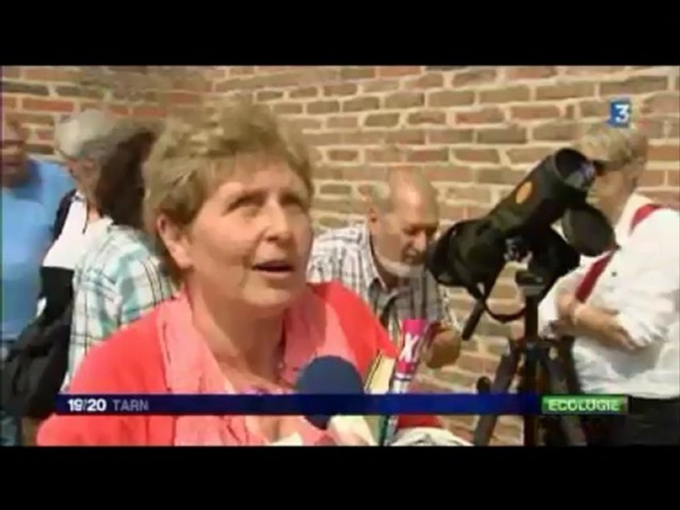Buffa venta interviews - France 3