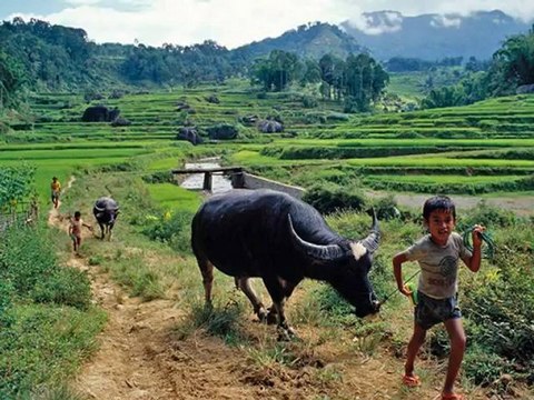 Paysages d'Asie du S E