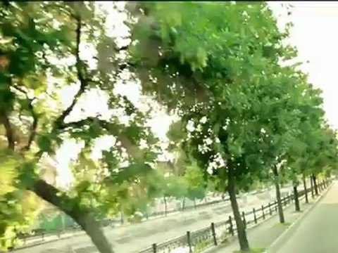 Adi de la Valcea si Vali Vijelie - De-ar avea buzele tale