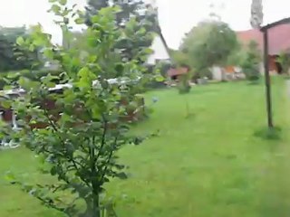 c est l heure de donner a mangé aux chevres !!!