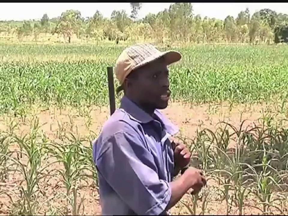 AFRICA24 - La première chaine mondiale d'information sur l'Afrique.