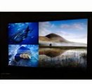 Panasonic VIERA TC-P50GT50 50-Inch 1080p Full HD 3D Plasma TV  FOR SALE