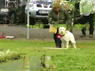 Chiots Emmerin le 9 juin 2012